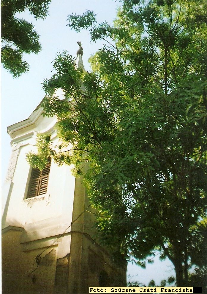 A kápolna tornya (1)